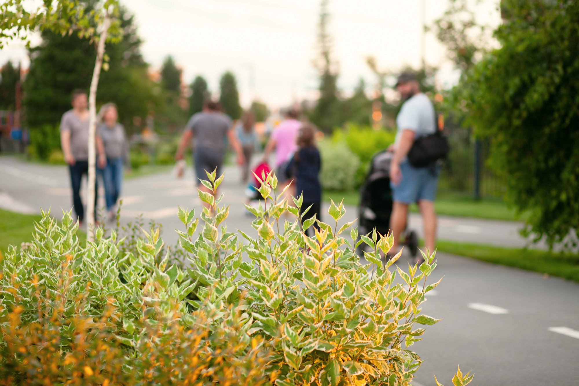 Город у воды Ясный берег 7