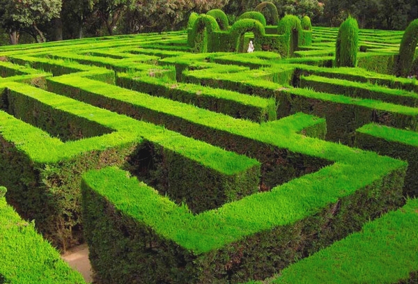 park.jpg park.jpg